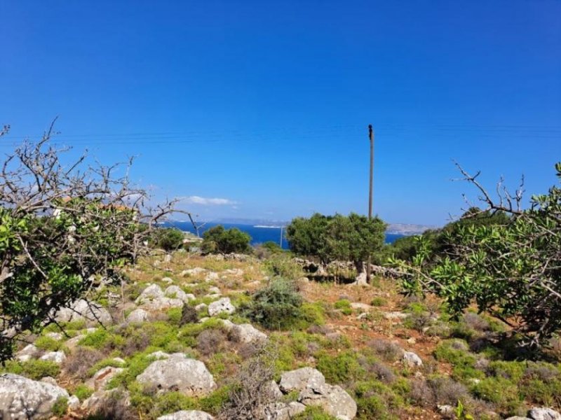 Kokkino Chorio Kreta, Kokkino Chorio: Bebaubares Grundstück mit Meerblick zu verkaufen Grundstück kaufen